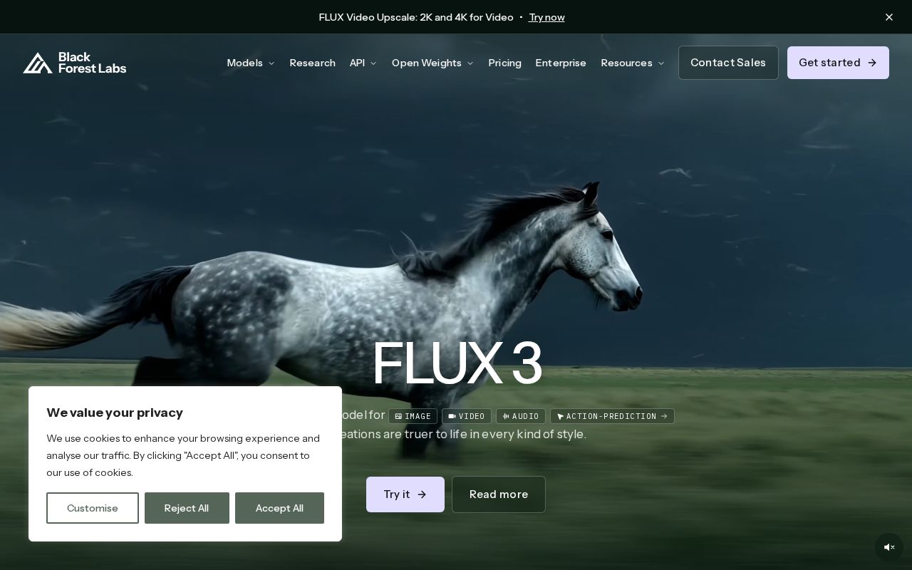 Screenshot of Black Forest Labs